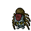 Cave Tarantula